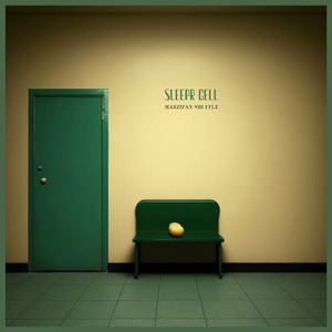 女刑警落入东亚魔窟的小说
