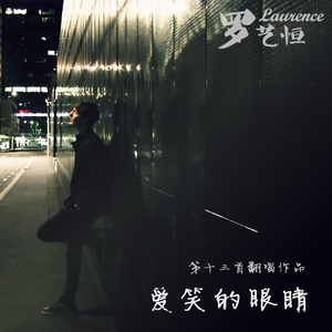 女刑警落入东亚魔窟的小说
