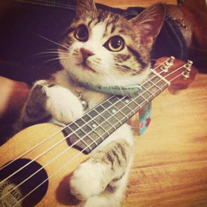 女刑警落入东亚魔窟的小说
